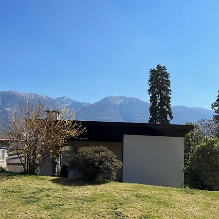 Muralto-Locarno: Miramonti Apt. 4 المظهر الخارجي الصورة